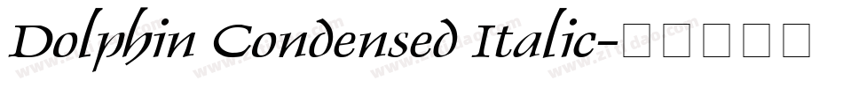 Dolphin Condensed Italic字体转换